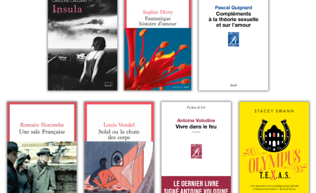 Illustration de l'actualité Rentrée Littéraire d'hiver 2024